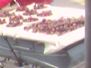 Cherries in Pram.jpg